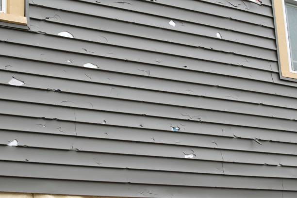 Best Steel Siding Installation  in Ashland, VA